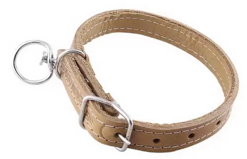 4-Curea-caine-piele--2.5x50CM--Lacuita