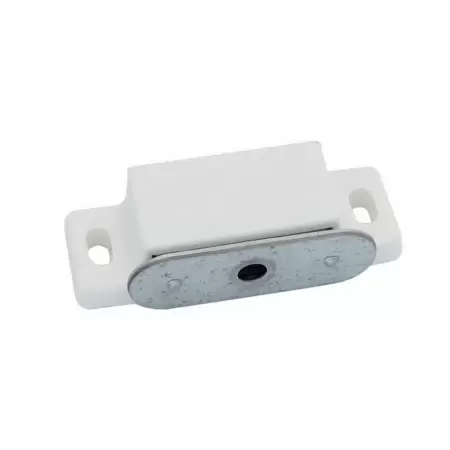 Magnet PL. ALB 1599-1 Magnet PL. ALB 1599-1