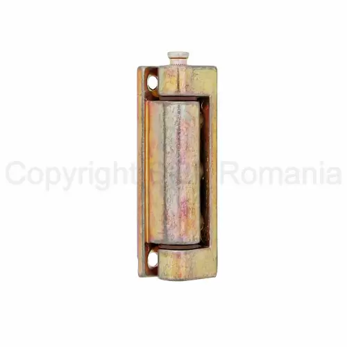 11-Balama-aplicata-usi-ZI-212~15-(40B)