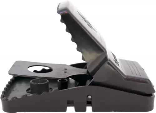 12-Cursa-soareci-din-plastic-Pamex