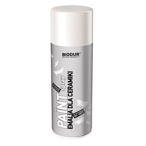 2-Spray-portelan-400ml-biodur