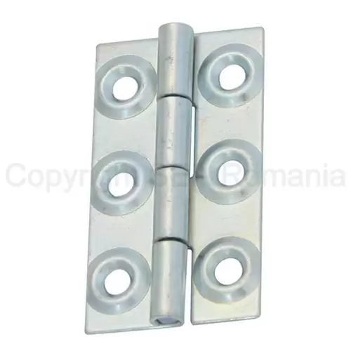 7-Balama-aripi-plane-ZI-36^20-290~66-(50B)