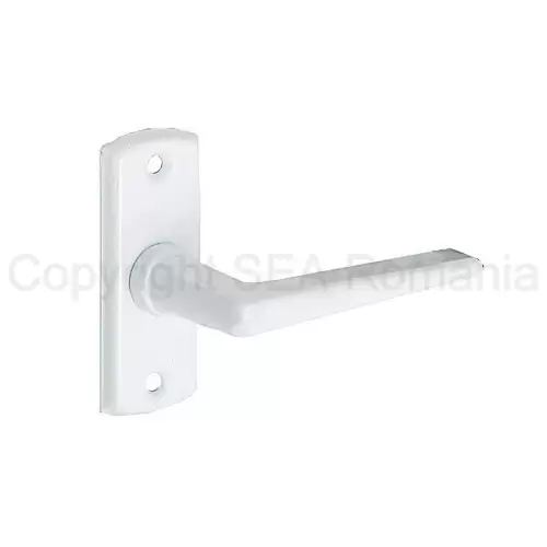 2-Maner-ferestre-V.ALB-oliver-700~01