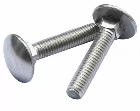 Surub DIN603 torbant 5x30-1