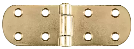 Balama aripi plane 300X40X2.5 /6B   -1