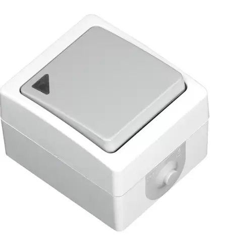 Intrerupator simplu + led pt fum. 8153-100 Covasna-1